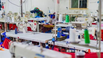 感谢每个留在成都的人，让我更爱这座城 信息技术咨询服务的温情力量